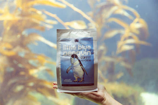 bag of bird rock coffee in front of Birch Aquarium exhibit 