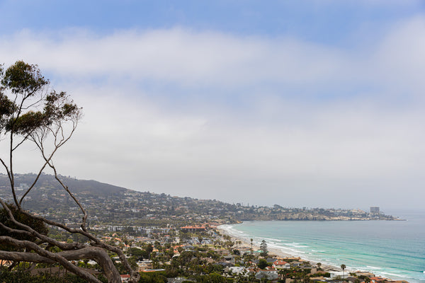 looking out at the ocean and La Jolla cove from Birch Aquarium