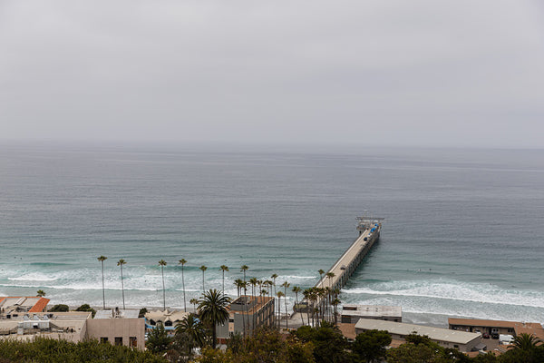 Scripps pier from Birch Aquarium