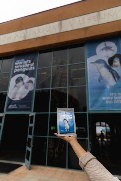 bag of bird rock coffee's little blue penguin blend in front of Birch Aquarium