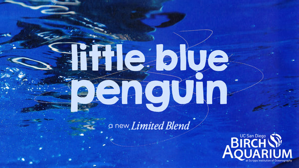 Blog header - Little blue penguins blend for Bird Rock Coffee Roasters 