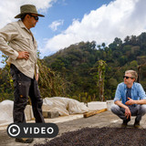 Origin Trip: Finca Santa Ana
