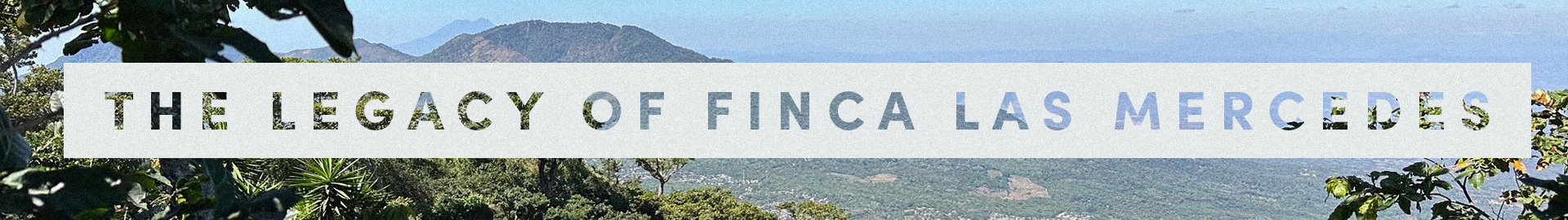 Finca Las Mercedes
