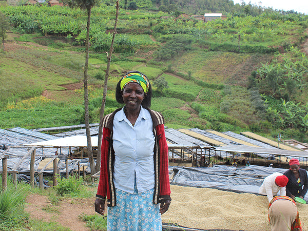 Sholi: Bird Rock Coffee Roasters 
